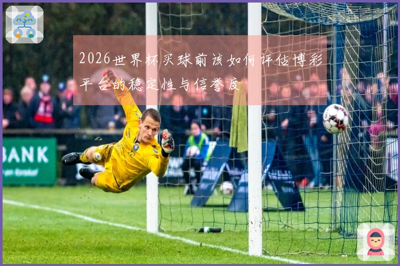 2026世界杯买球前该如何评估博彩平台的稳定性与信誉度