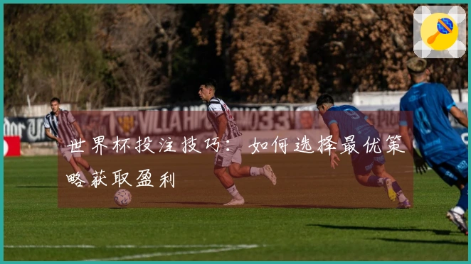 世界杯投注技巧：如何选择最优策略获取盈利