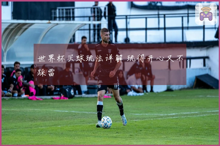 世界杯买球玩法详解 玩得开心又不踩雷