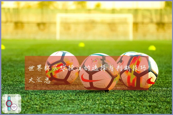 世界杯买球投注的选择与判断技巧大汇总