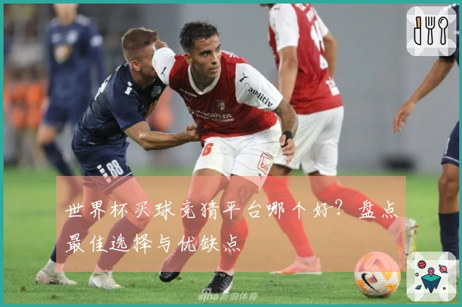 世界杯买球竞猜平台哪个好？盘点最佳选择与优缺点