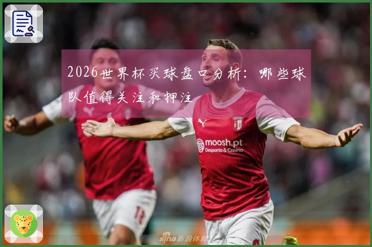2026世界杯买球盘口分析：哪些球队值得关注和押注