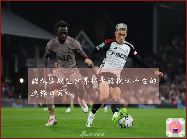 揭秘实战型世界杯竞猜投注平台的选择与策略