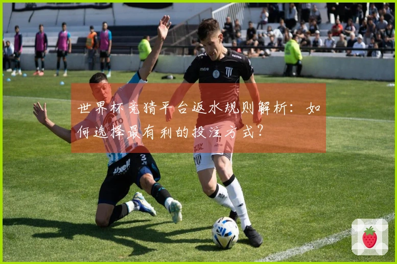 世界杯竞猜平台返水规则解析：如何选择最有利的投注方式？