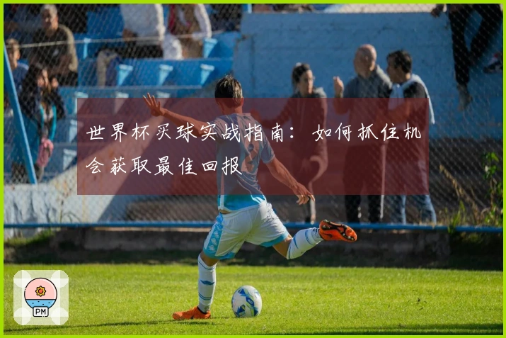 世界杯买球实战指南:如何抓住机会获取最佳回报